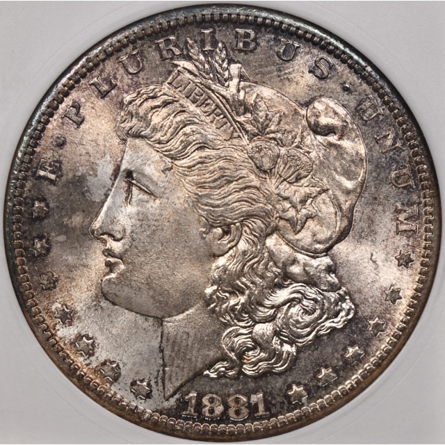 1881-S Morgan Dollar old White ANACS MS65, I grade 66